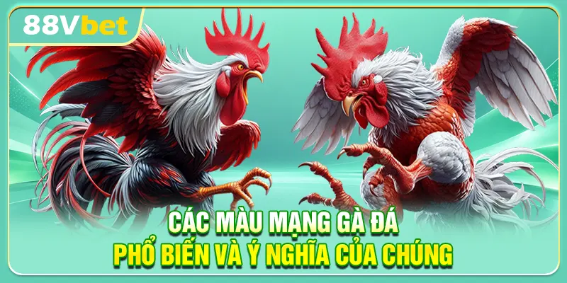 Các màu mạng gà đá phổ biến và ý nghĩa